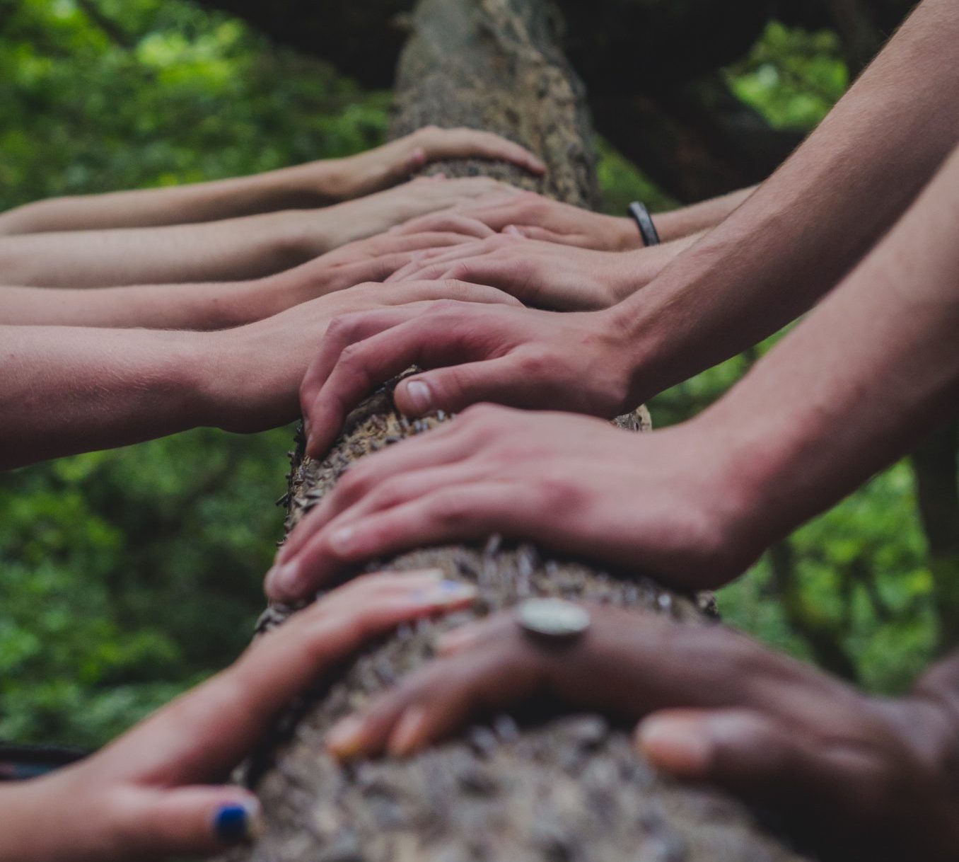 shane-rounce-DNkoNXQti3c-unsplash